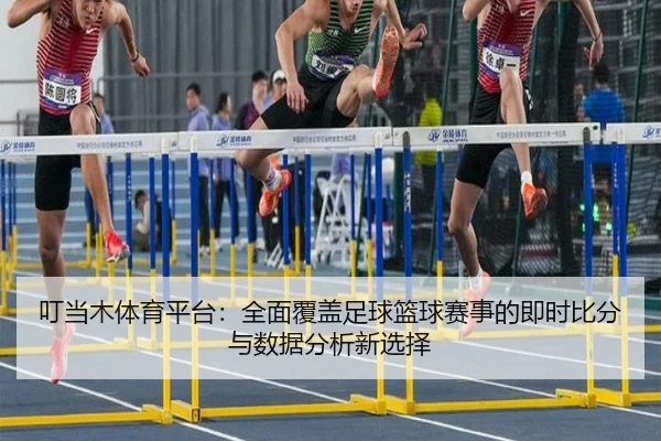 叮当木体育平台：全面覆盖足球篮球赛事的即时比分与数据分析新选择